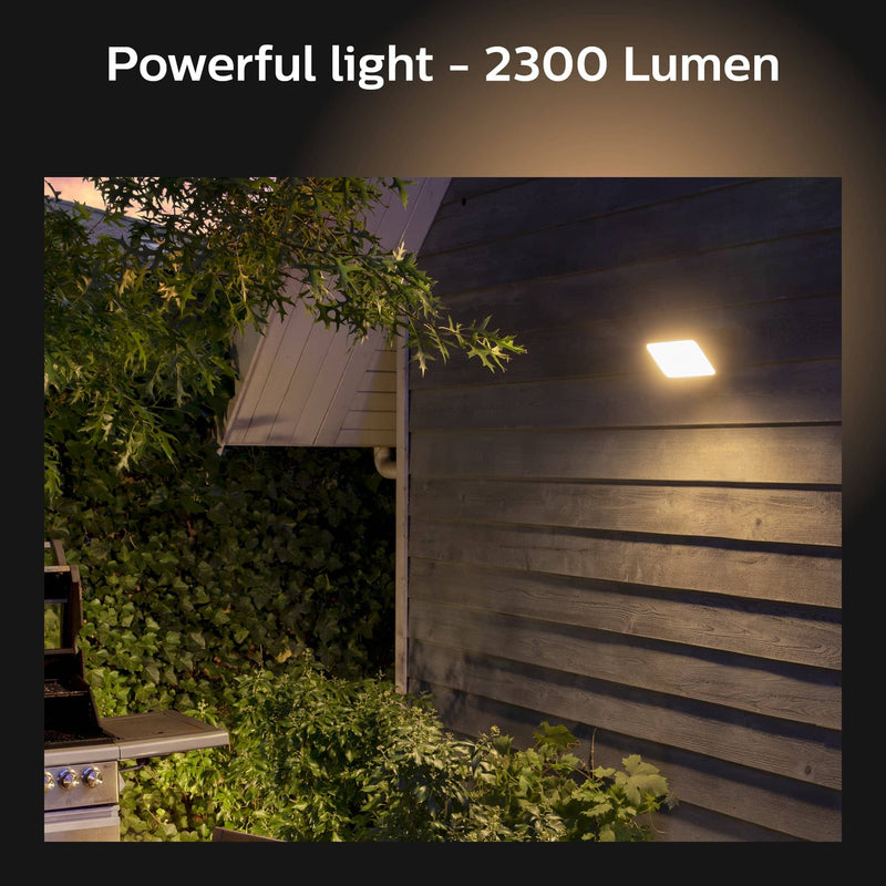 Philips Hue White and Colour Ambience Discover Outdoor Floodlight - LED Direct